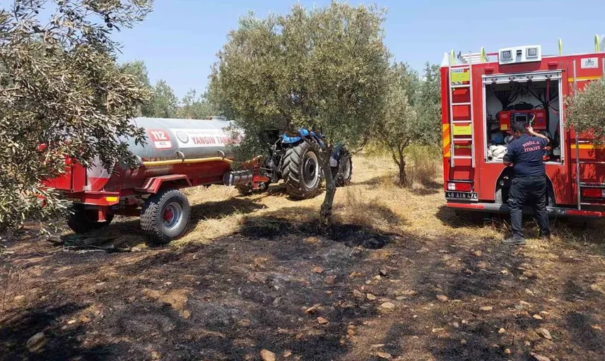 Muğla'da orman yangınlarının büyük bir kısmı insan kaynaklı