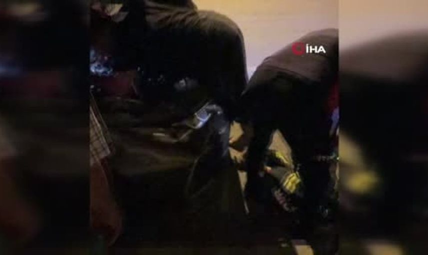 Yavru kediyi ölümden kurtaran kadının duyarlılığı takdir topladı