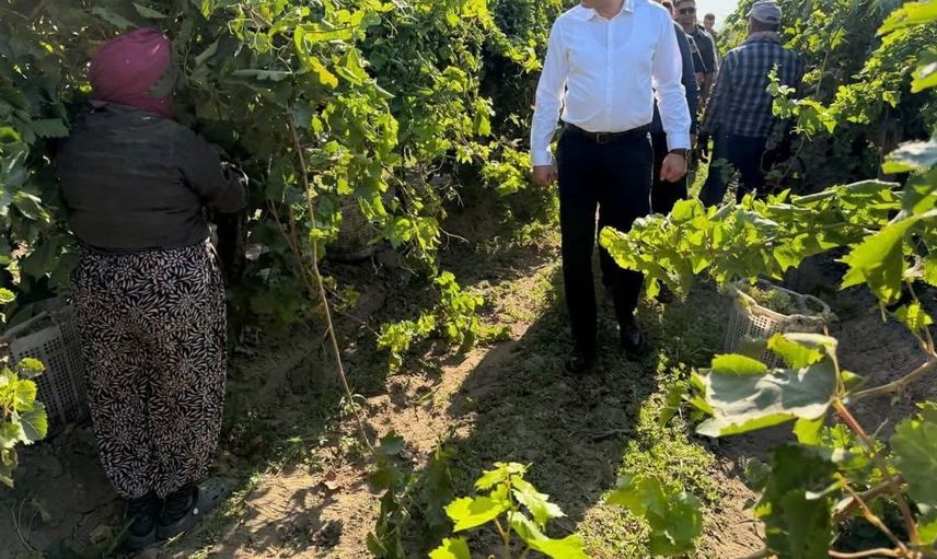 Saruhanlı kaymakamı üzüm hasadına destek vererek üreticilere moral oldu