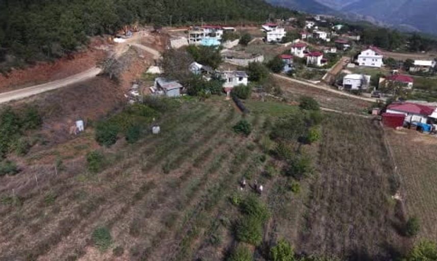 Osmaniye’de aronya yetiştiriciliğiyle aile ekonomisinin kapılarını araladı