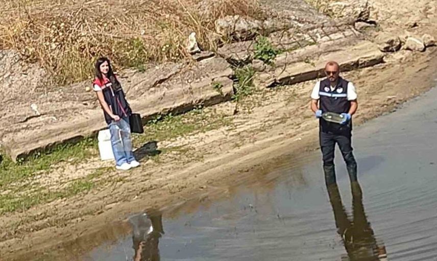 Edirne'de toplu balık ölümleri yaşanan göletten numune alındı