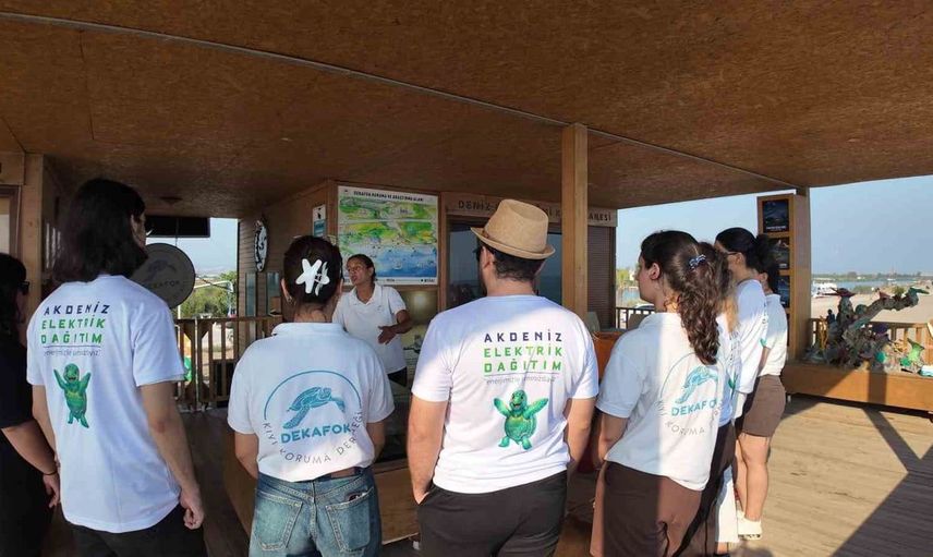 Caretta carettalara dost LED aydınlatma sistemi uygulandı