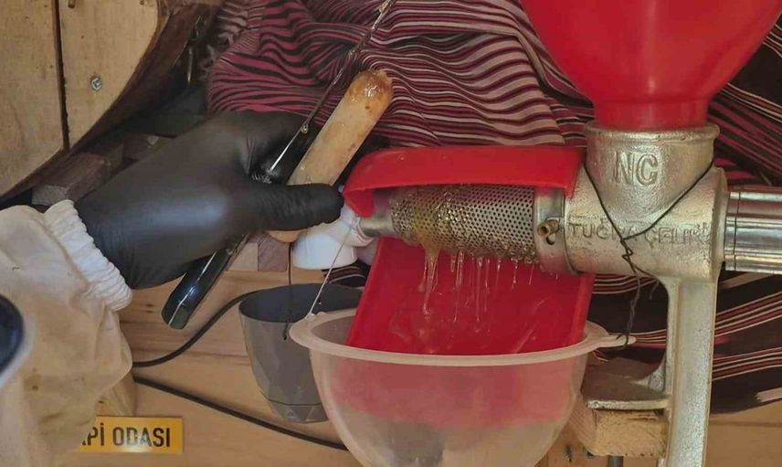 Kadıköy'de arılara elektrikli battaniye ile bakan bakkal: Mahalle halkına ikram ediyor