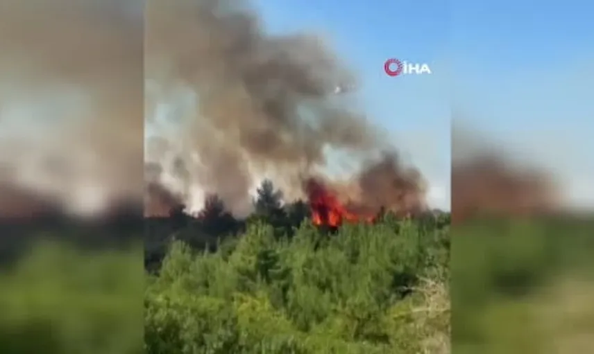 Lapseki'de tarım arazisindeki yangına hızlı müdahale