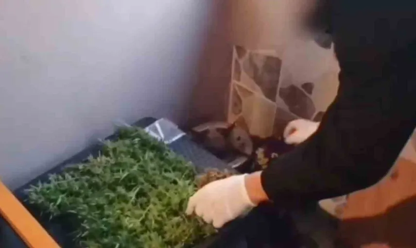 Sakarya'da sokak güvenliği için büyük operasyon: 19 kişi yakalandı