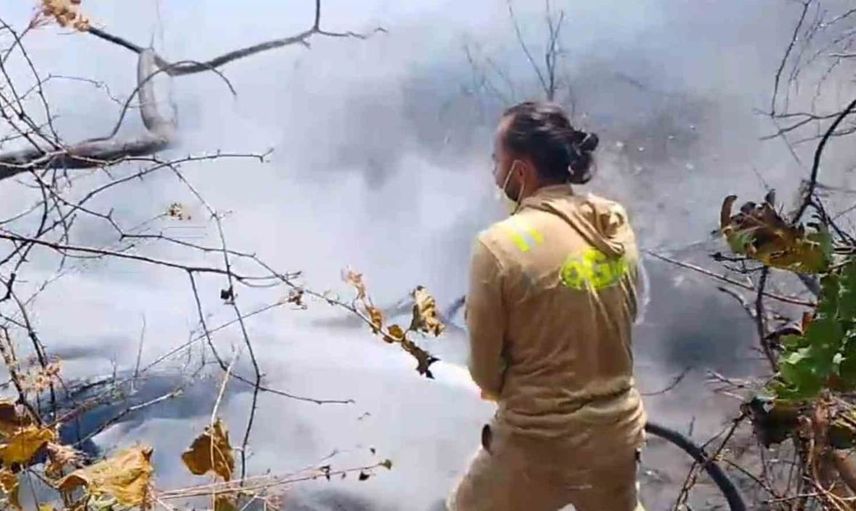 Subaşı beldesinde çıkan yangın ormanlık alanı tehdit ediyor