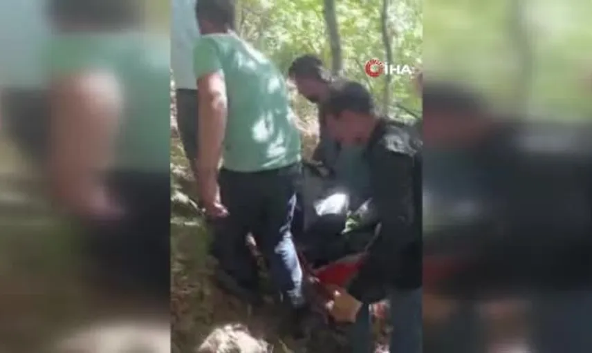 Samsun'da koyunlarını otlatmaya giden kişi ormanda ölü bulundu