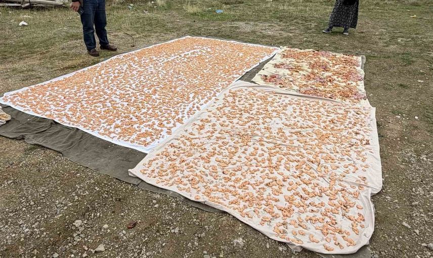 Boyabat'ta kış aylarına hazırlık: Tarhana yapımı hız kazandı