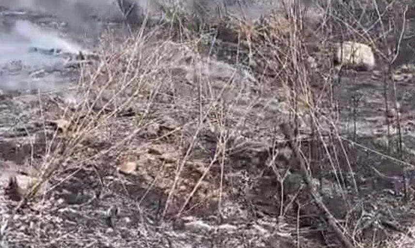 Yangın traktörü kül etti: Erzin'de alevler kontrol altına alındı