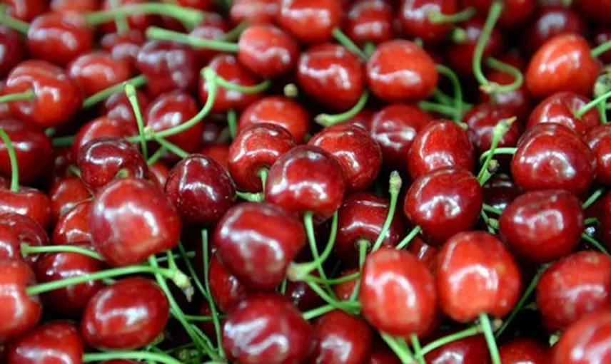 ABD - Çin Ticaret Savaşı Türk Kirazına Olan Talebi Artıracak 