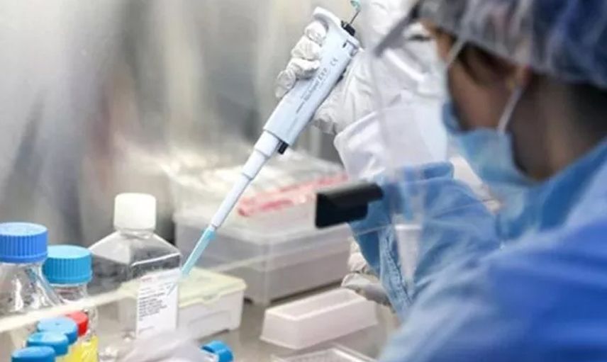 ABD’li Bilim İnsanları Açıkladı: Köpek Balığı Çözümü Omicron Varyantının Önüne Geçebilir