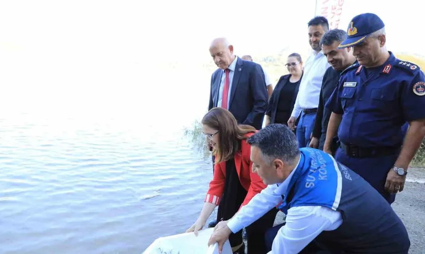 Bartın'da barajlara 145 bin sazan balığı yavrusu salındı