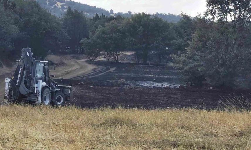 Kütahya'daki yangın sonrası tarım alanlarında hasar analizi başlatıldı