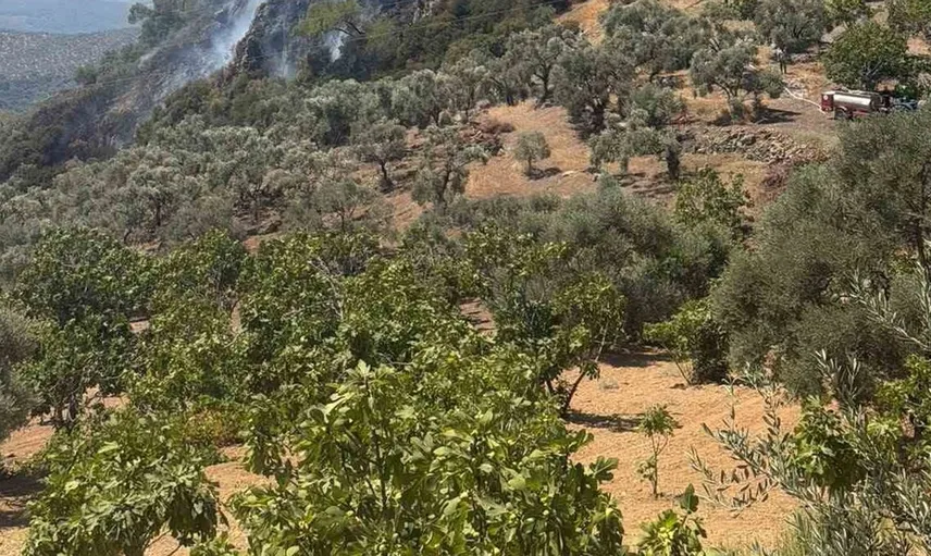 Germencik'teki orman yangını hızlı müdahale ile söndürüldü