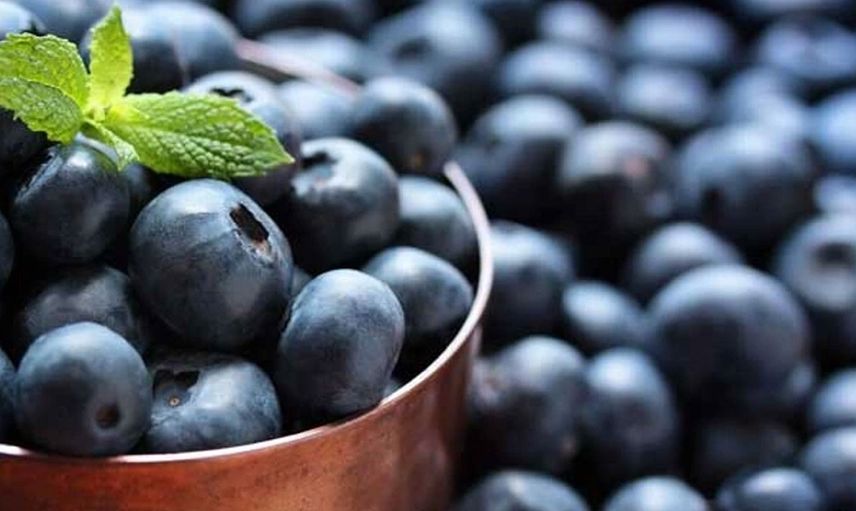 Acai üzümü tam bir şifa kaynağı!