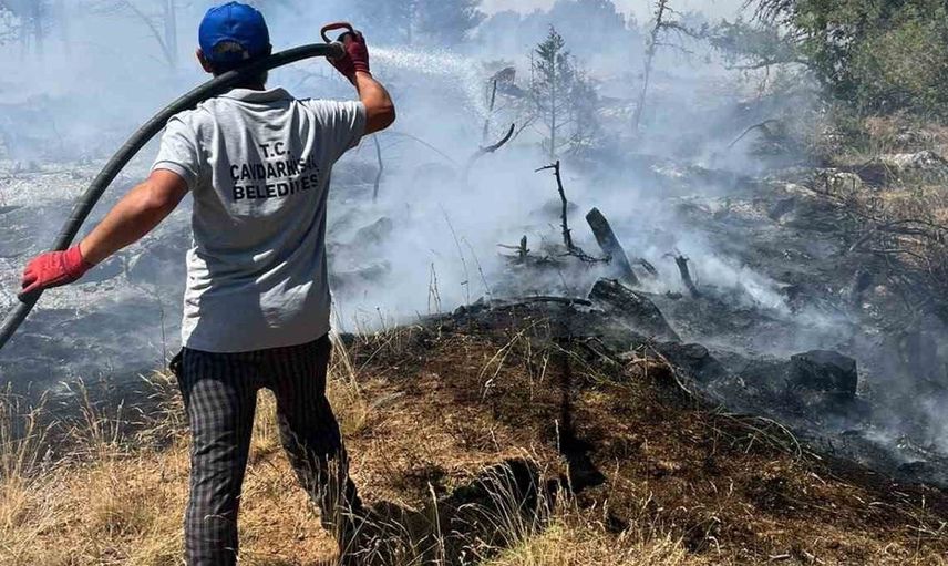 Kütahya'da orman yangını: ekipler havadan ve karadan müdahale ediyor