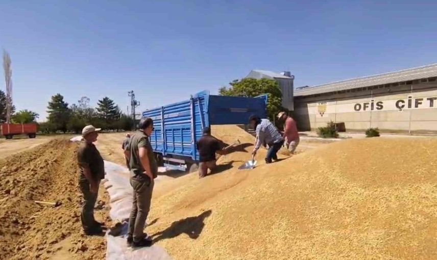 Konya'da TMO'dan rekor hububat alımı: 2 milyon tonla tarımsal üretime destek