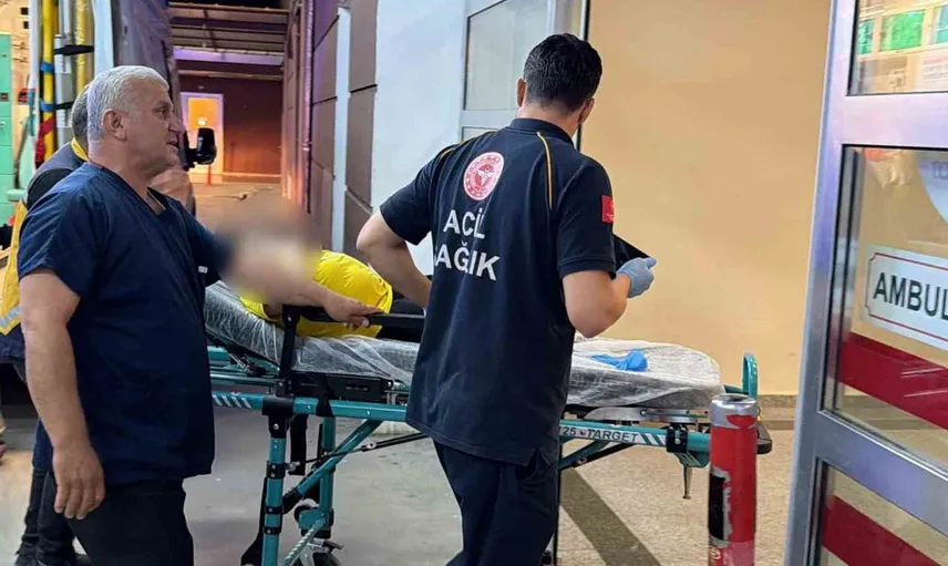 Adıyaman'da direksiyon hakimiyeti kaybı sonucu kazada iki çocuk yaralandı