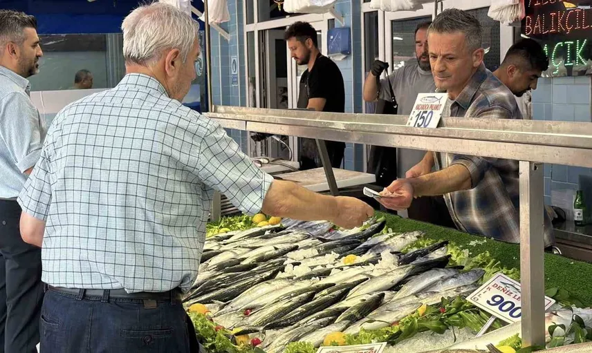 Bolu'da palamut bolluğu balıkçıları sevindiriyor