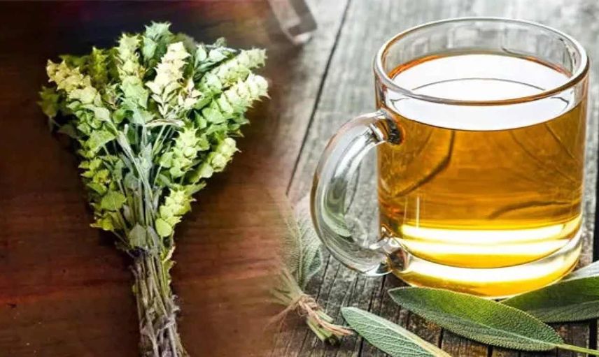 Ada çayının faydaları nelerdir, hangi hastalıklara iyi gelir? Ada çayının mucizevi etkileri