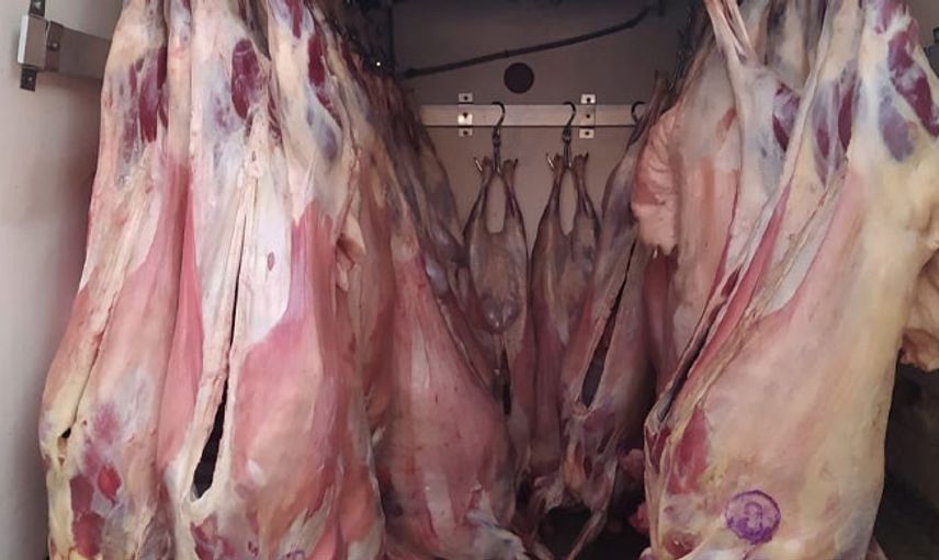 Adana'da Bir Aracın İçinde 2 Ton Et Yakalandı