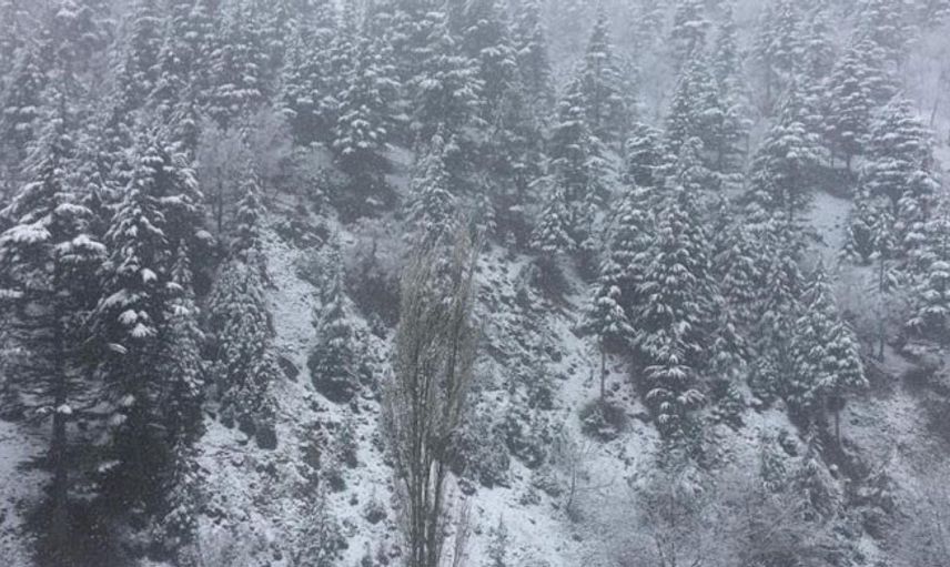 Adana’da Kar Yağışı Etkisini Gösterdi