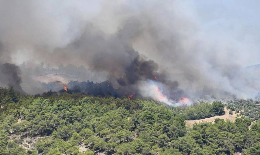 Adana’da korkutan orman yangını: Ekipler müdahale ediyor