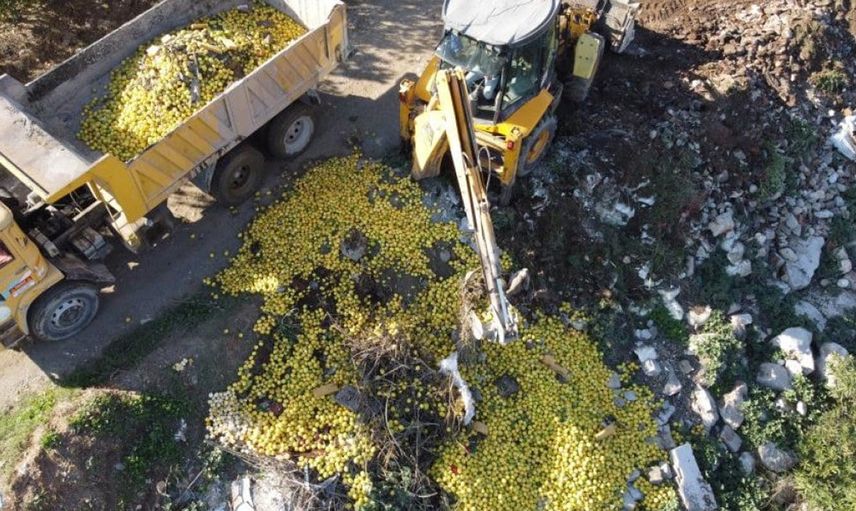 Adana'da tonlarca limon dere yatağına döküldü: Ekipler harekete geçti