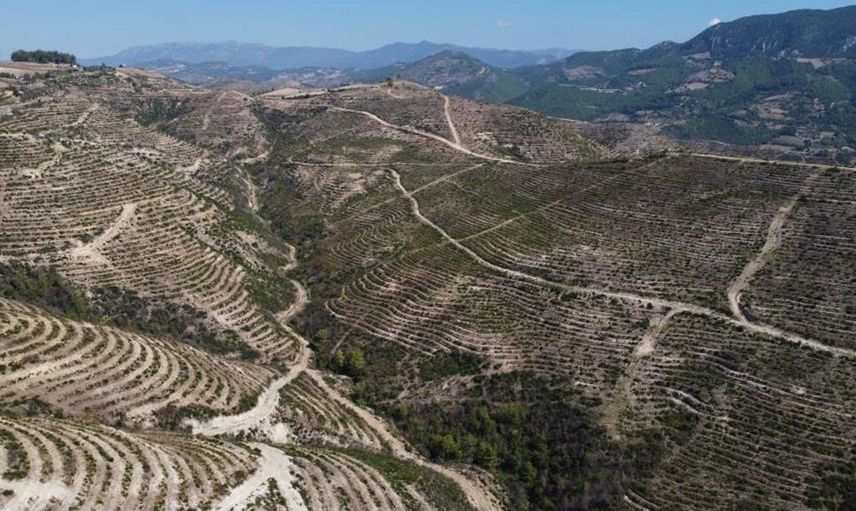 Adana'da Yanan Ormanlık Alanın Son Hali Havadan Görüntülendi