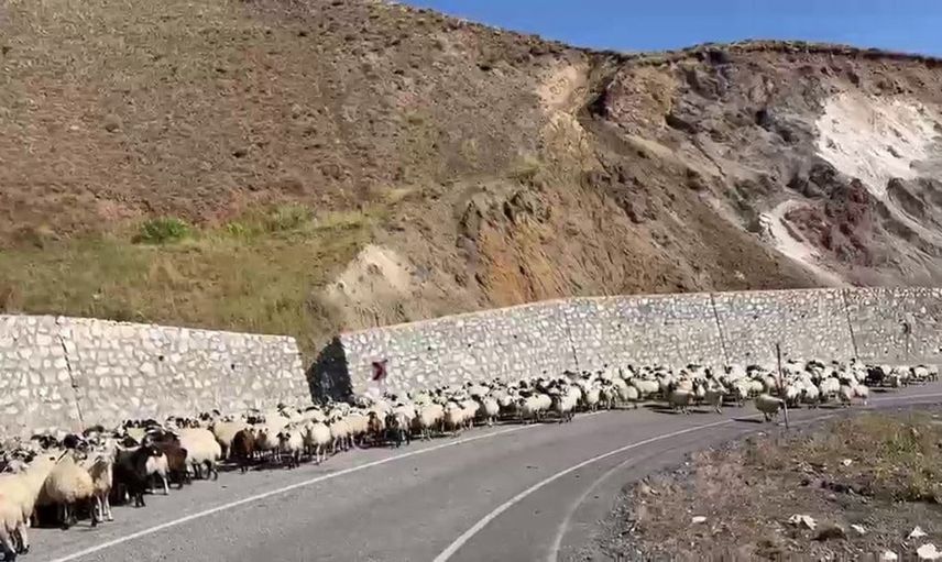 Erzurum'da göçerlerin kış hazırlığı için zorlu dönüş yolculuğu başladı