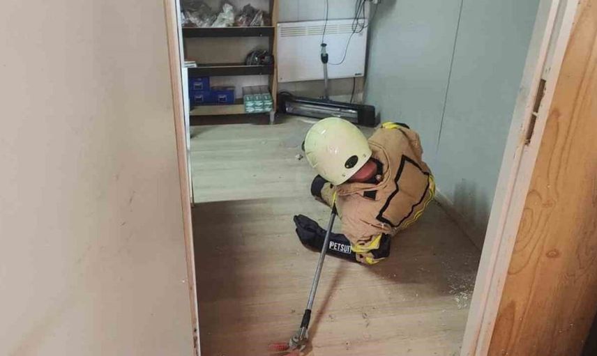 Adıyaman'da iş yerine giren yılan paniğe neden oldu