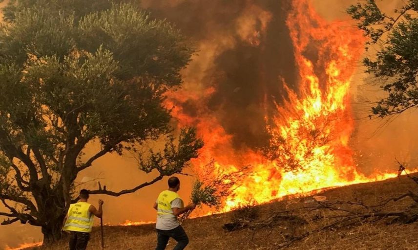 Adıyaman’da orman yangını: Havadan ve karadan müdahale sürüyor