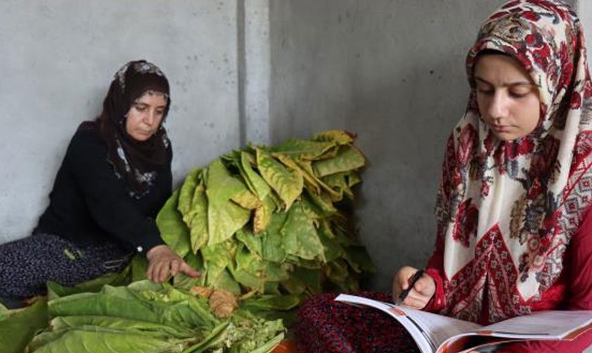 Adıyaman'da Tarlada Çalışıp Tıp Kazandı