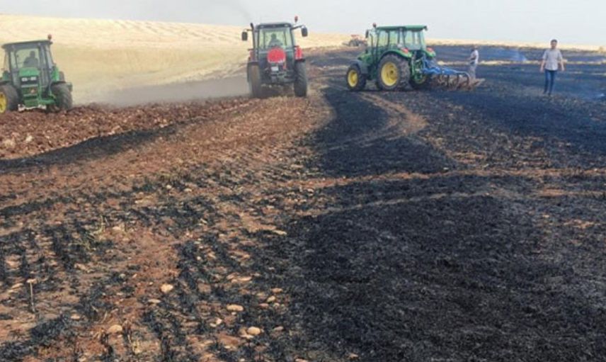 Adıyaman'da Yaklaşık 100 Dönümlük Arpa Telef Oldu