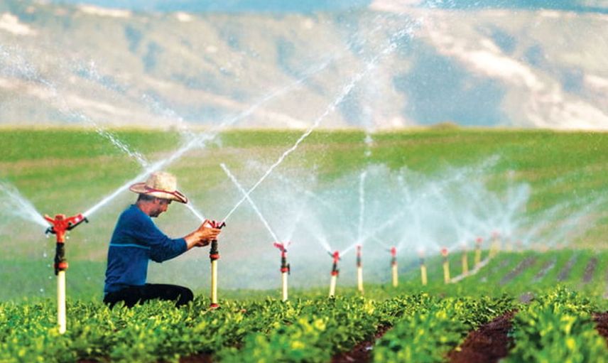 Erzincan'da tarımsal projelere rekor hibe desteği: 169 milyon lira