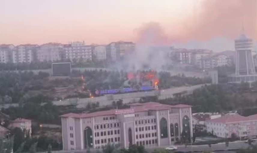 Ankara’da parkta çıkan yangın itfaiye ekipleri tarafından söndürüldü