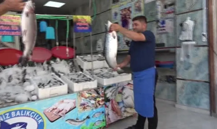 Kilis’te balık sezonu açıldı: Tezgahlar çeşitleniyor