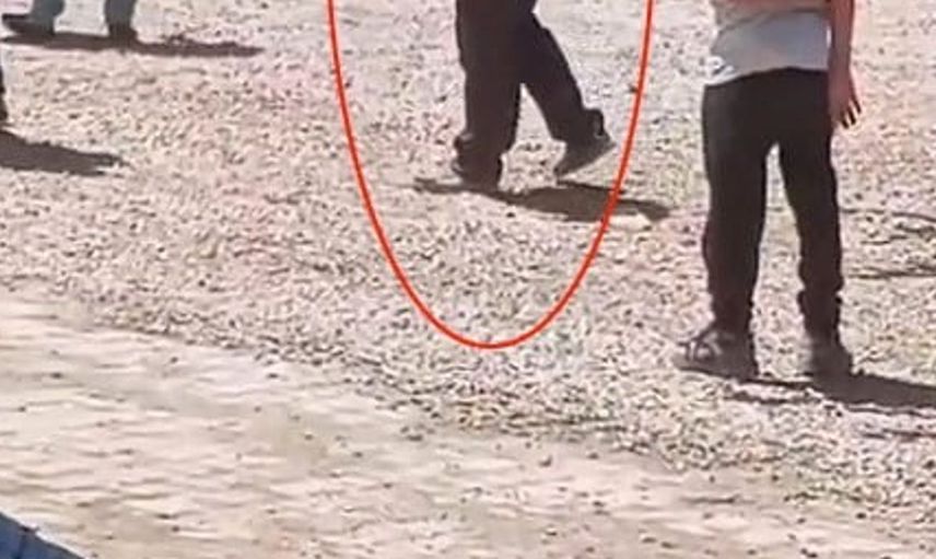 Gaziantep'te düğün sırasında havaya ateş açan muhtarın davranışı tepki topladı