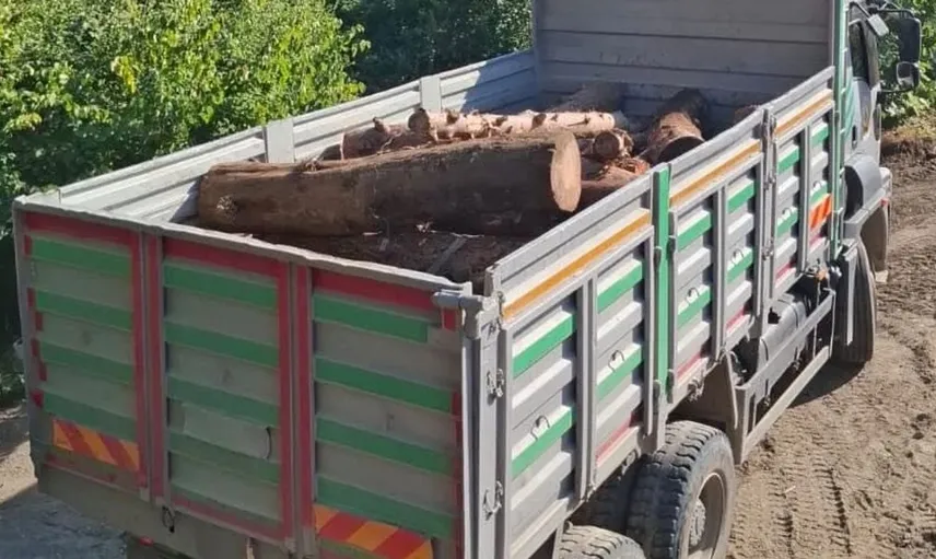 İskenderun ormanında kaçak kesime karşı sıkı denetim