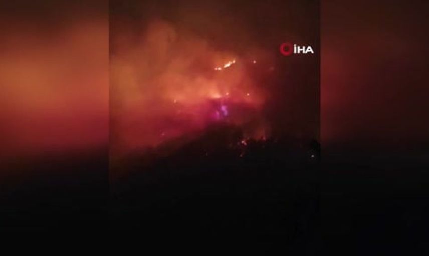 Fransa’da orman yangınları nedeniyle Cap Ferret yarımadasında tahliye emri verildi