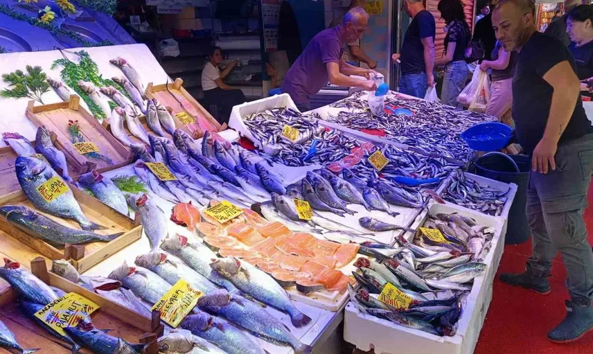 Eskişehir'de balık sezonu canlı başladı: Hamsi ve palamut tezgahlarda bol ve ucuz