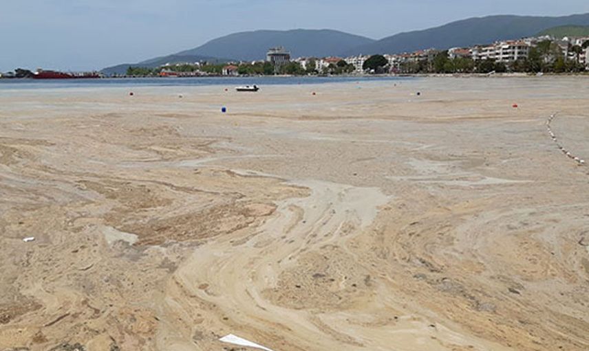 AK Parti Ve MHP Deniz Salyası Çözümü İçin Meclise Önerge Sundu