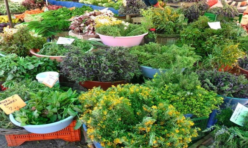 Alaçatı Ot Festivali ne zaman, hangi tarihte? Çeşme Alaçatı Ot Festivali tarihi