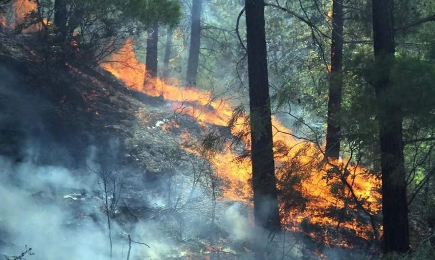 Alanya’da yangın paniği: Ekipler erken davranınca kontrol altına alındı