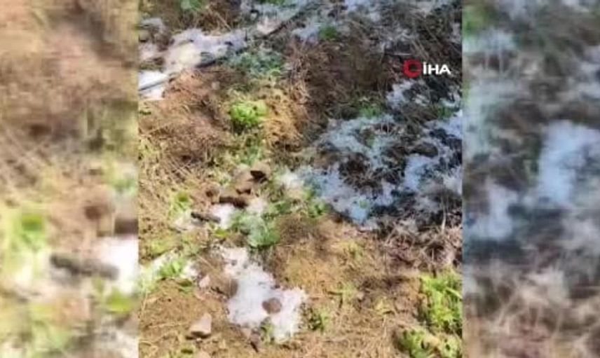 Alaşehir'de Büyüklüğünde Dolu Etkisini Gösterdi