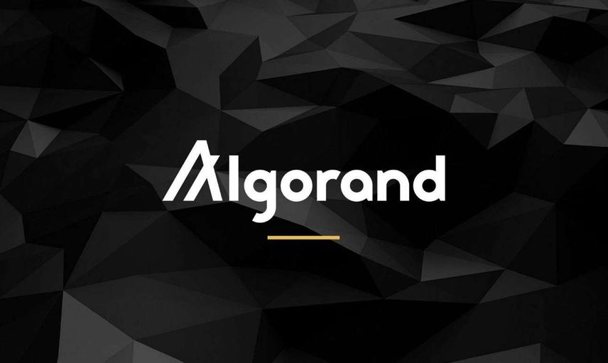 Algo coin nedir? Algorand coin projesi ve yol haritası