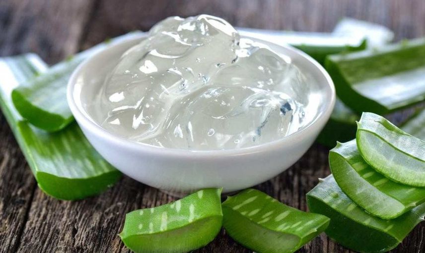 Aloe Vera bitkisi çiçek açar mı, açmaz mı, nasıl yetiştirilir? Aloe Vera çiçeğinin faydaları ve bakımı