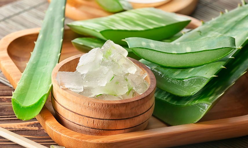 Aloe Vera Cinsellikte Nasıl Kullanılır?