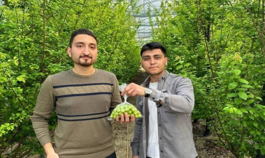 Altını bile sollayıp geçen o ürünün ilk hasatı yapıldı! Kimse bu ürünün yanından geçemeyecek