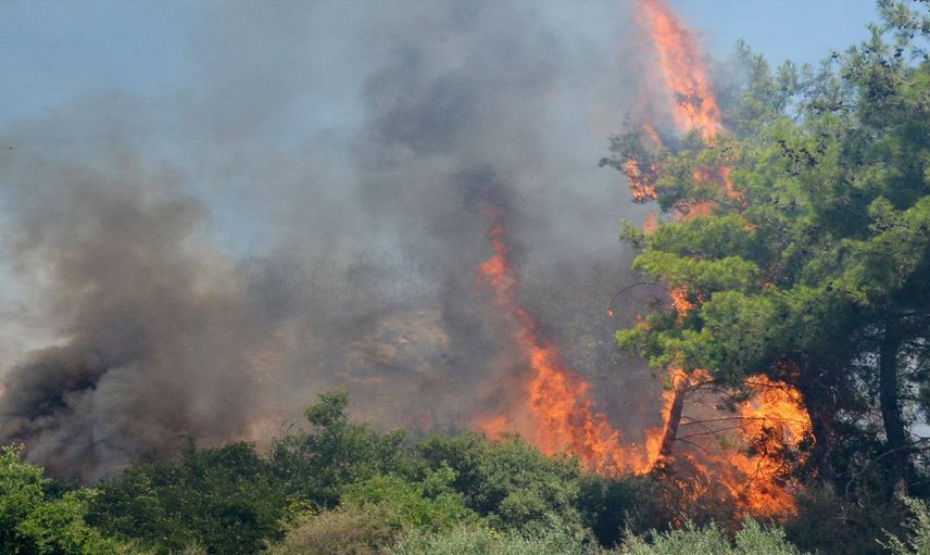 Antalya ve İzmir’de orman yangını: Ekipler müdahale ediyor